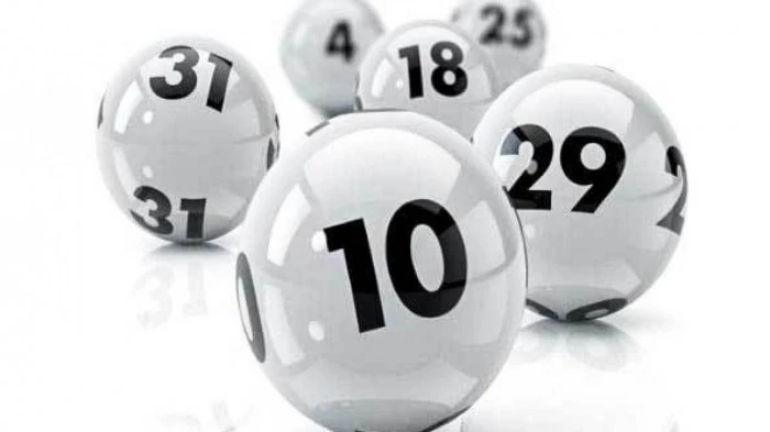 Khám Phá Thế Giới Đá Gà Tại BJ88